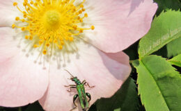 010 - die welt ist klein